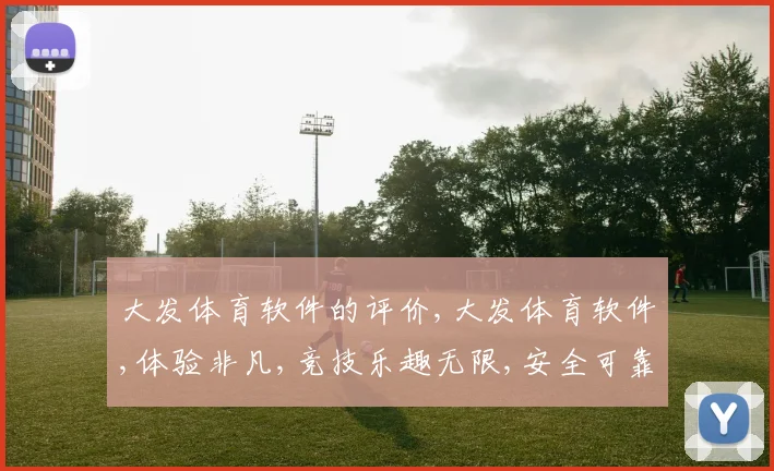 大发体育软件的评价,大发体育软件,体验非凡,竞技乐趣无限,安全可靠首选