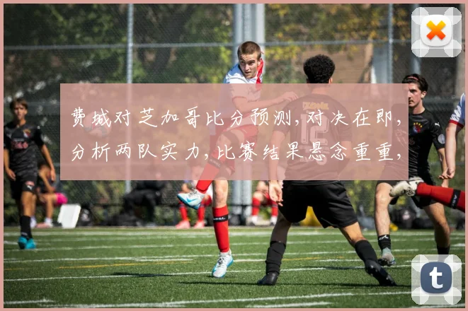 费城对芝加哥比分预测,对决在即,分析两队实力,比赛结果悬念重重,谁将笑到最后,
